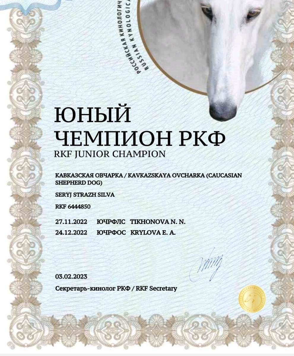 Уникальная услуга